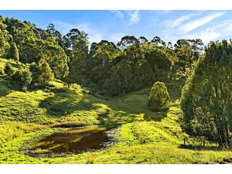 288 Tunnel Road, Stokers Siding NSW 2484