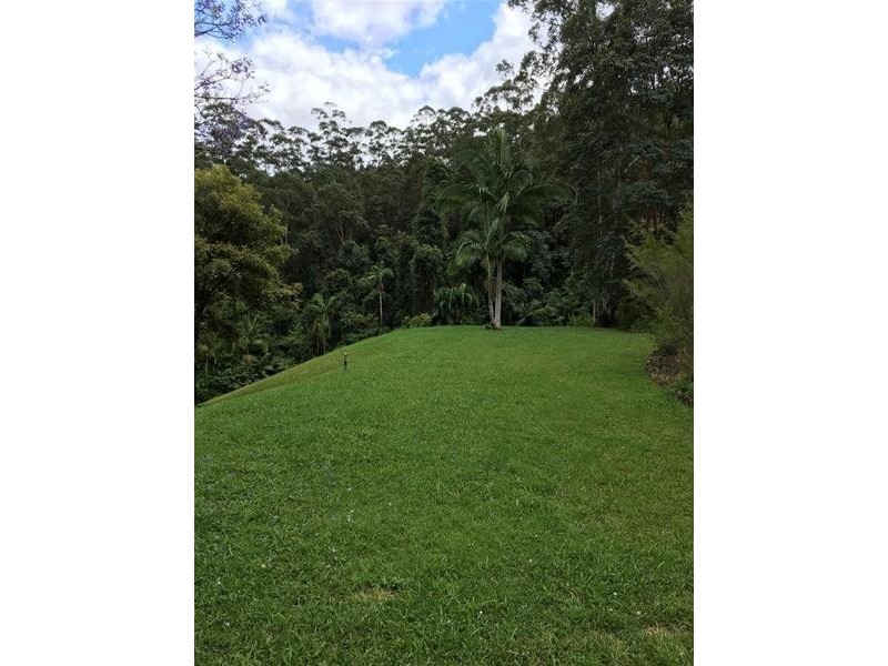 687 Commissioners Creek Road, Commissioners Creek NSW 2484