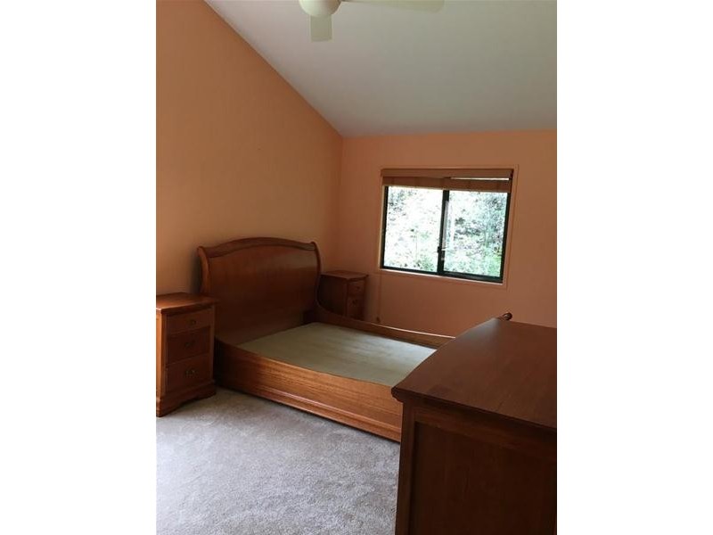 687 Commissioners Creek Road, Commissioners Creek NSW 2484