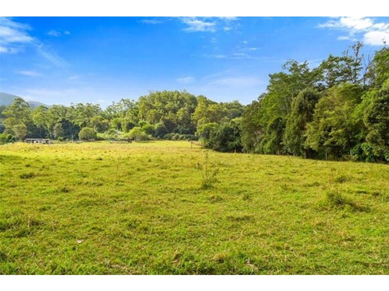 1799 Numinbah Road, Numinbah NSW 2484