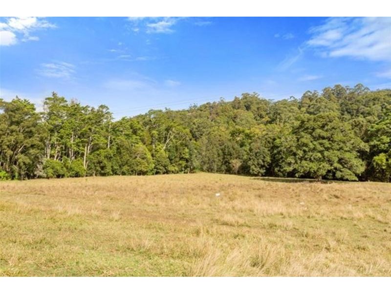 1799 Numinbah Road, Numinbah NSW 2484