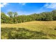 1799 Numinbah Road, Numinbah NSW 2484