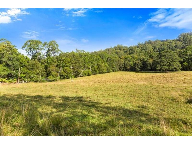 1799 Numinbah Road, Numinbah NSW 2484