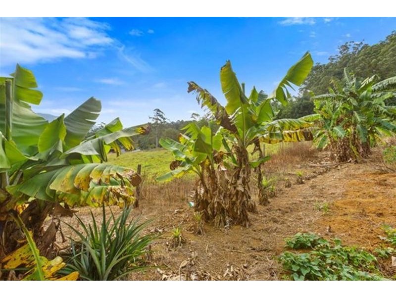 1799 Numinbah Road, Numinbah NSW 2484