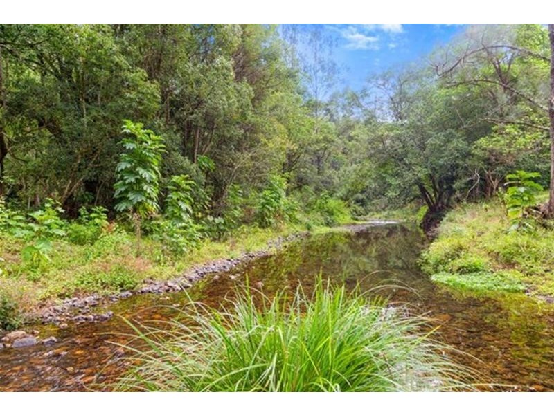 1799 Numinbah Road, Numinbah NSW 2484