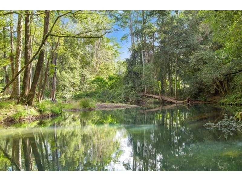 1799 Numinbah Road, Numinbah NSW 2484