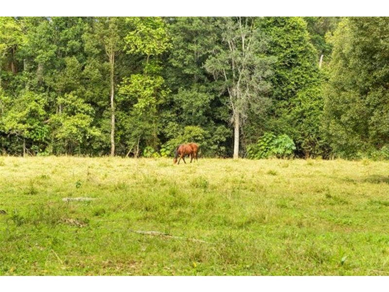 1799 Numinbah Road, Numinbah NSW 2484