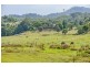 47 Glencoe Road, Murwillumbah NSW 2484