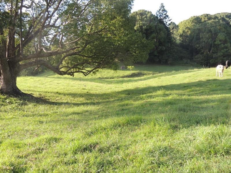 1279 Kyogle Road, Uki NSW 2484