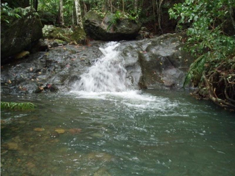 497 Mount Warning Road, Mount Warning NSW 2484