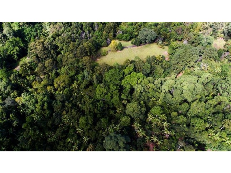 497 Mount Warning Road, Mount Warning NSW 2484