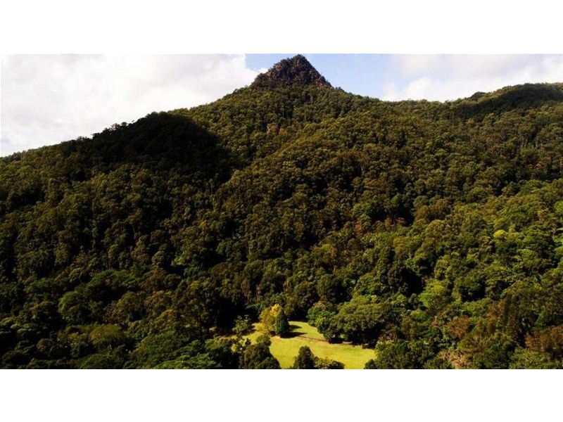 497 Mount Warning Road, Mount Warning NSW 2484