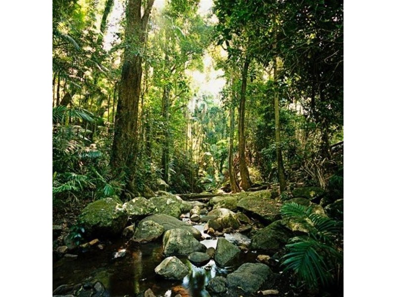 497 Mount Warning Road, Mount Warning NSW 2484