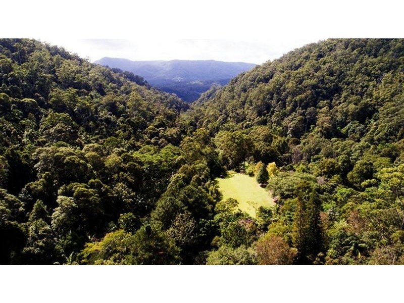 497 Mount Warning Road, Mount Warning NSW 2484