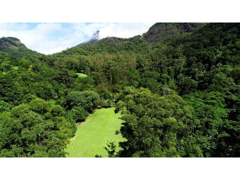 497 Mount Warning Road, Mount Warning NSW 2484