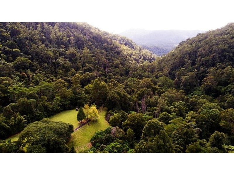 497 Mount Warning Road, Mount Warning NSW 2484