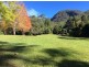 497 Mount Warning Road, Mount Warning NSW 2484