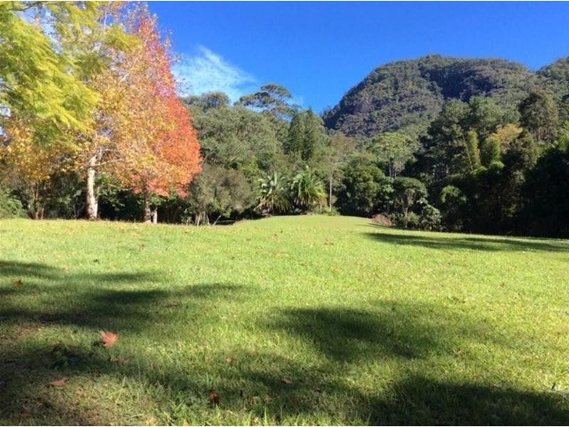 497 Mount Warning Road, Mount Warning NSW 2484