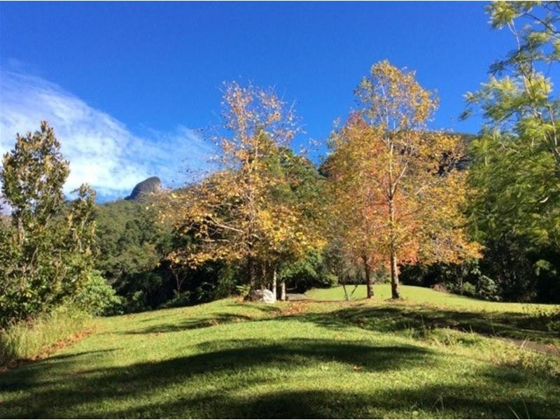 497 Mount Warning Road, Mount Warning NSW 2484