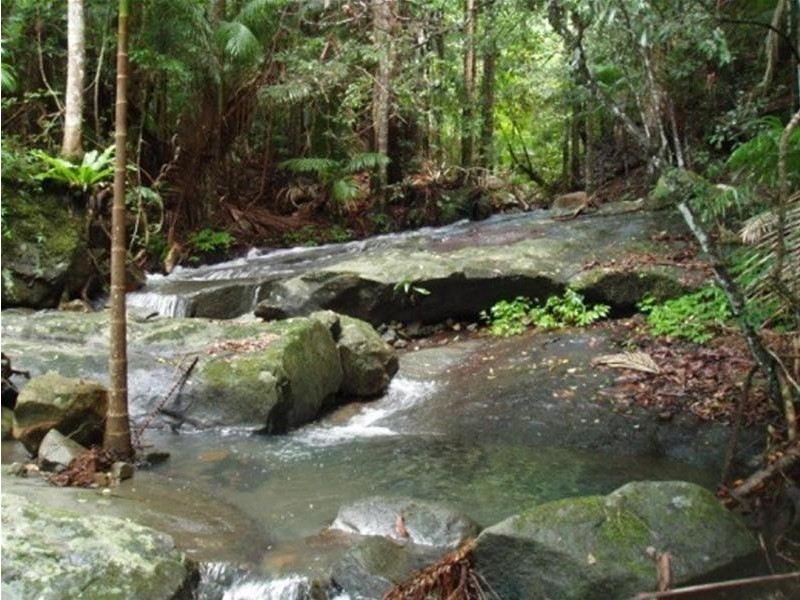 497 Mount Warning Road, Mount Warning NSW 2484