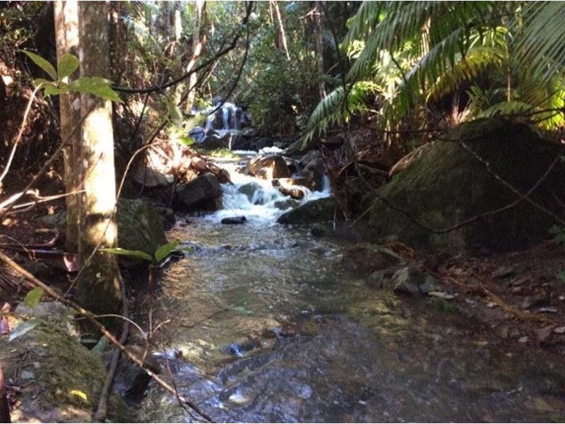 497 Mount Warning Road, Mount Warning NSW 2484