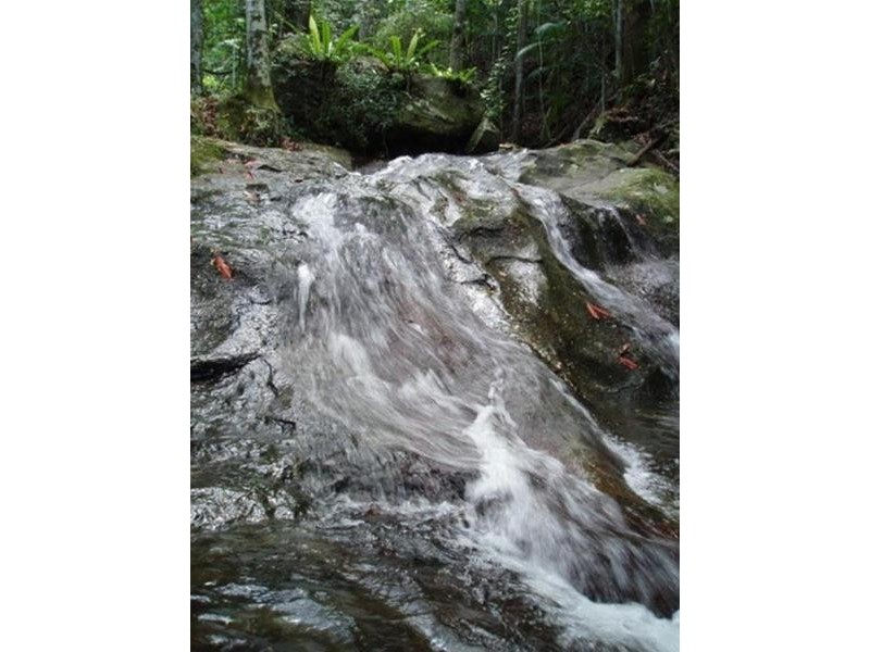 497 Mount Warning Road, Mount Warning NSW 2484