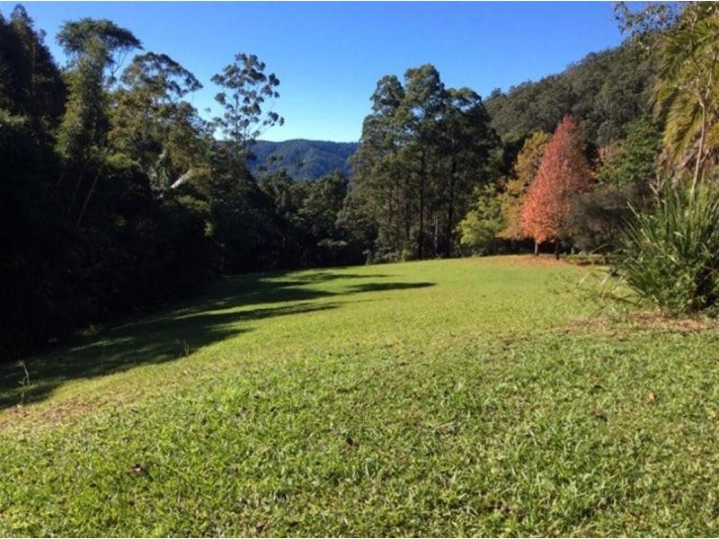 497 Mount Warning Road, Mount Warning NSW 2484