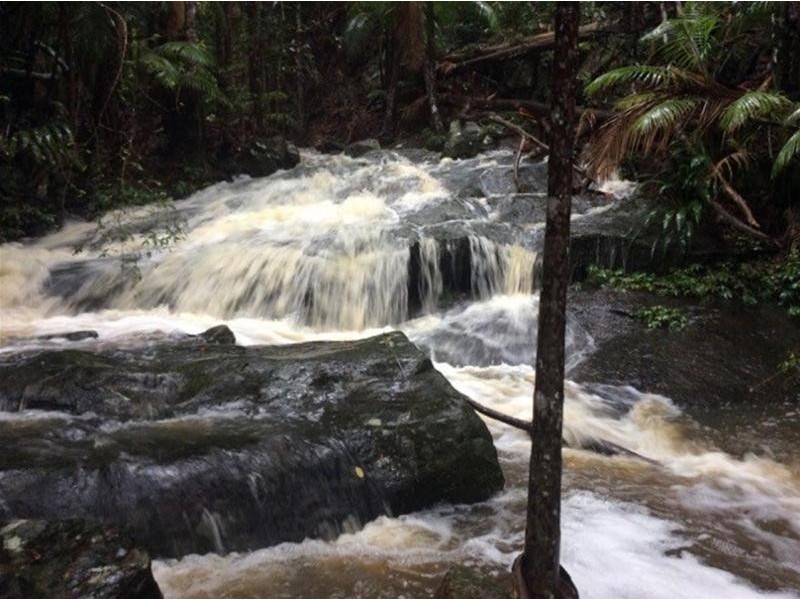 497 Mount Warning Road, Mount Warning NSW 2484