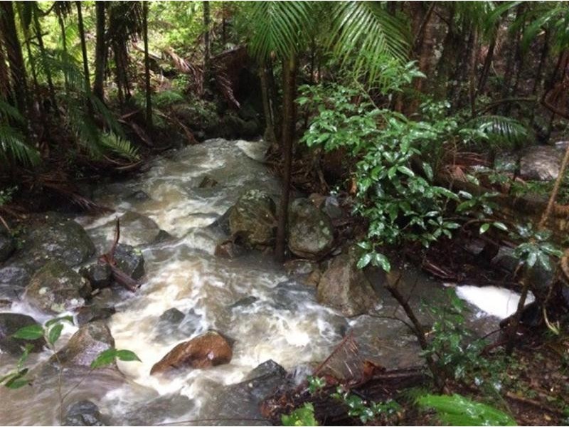 497 Mount Warning Road, Mount Warning NSW 2484