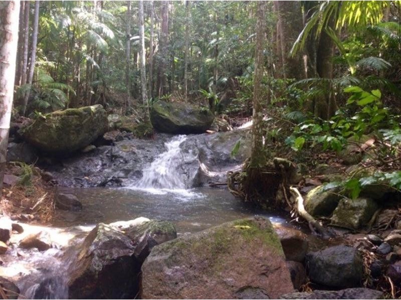 497 Mount Warning Road, Mount Warning NSW 2484