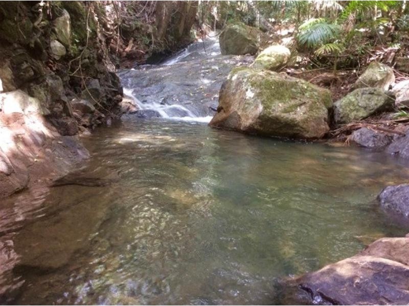 497 Mount Warning Road, Mount Warning NSW 2484