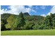 497 Mount Warning Road, Mount Warning NSW 2484