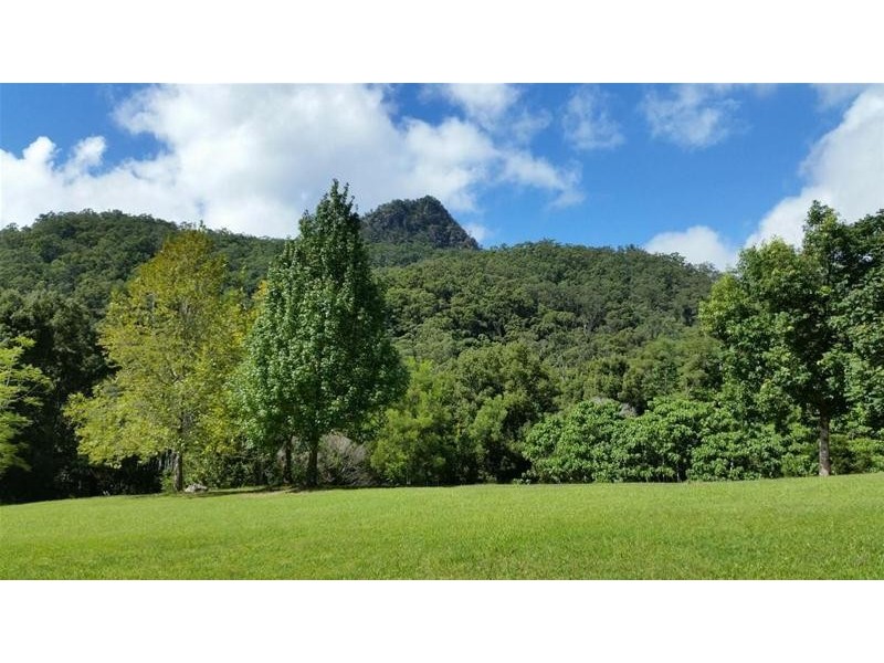497 Mount Warning Road, Mount Warning NSW 2484