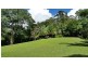 497 Mount Warning Road, Mount Warning NSW 2484