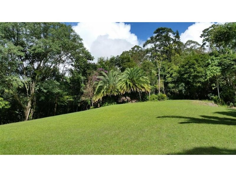 497 Mount Warning Road, Mount Warning NSW 2484