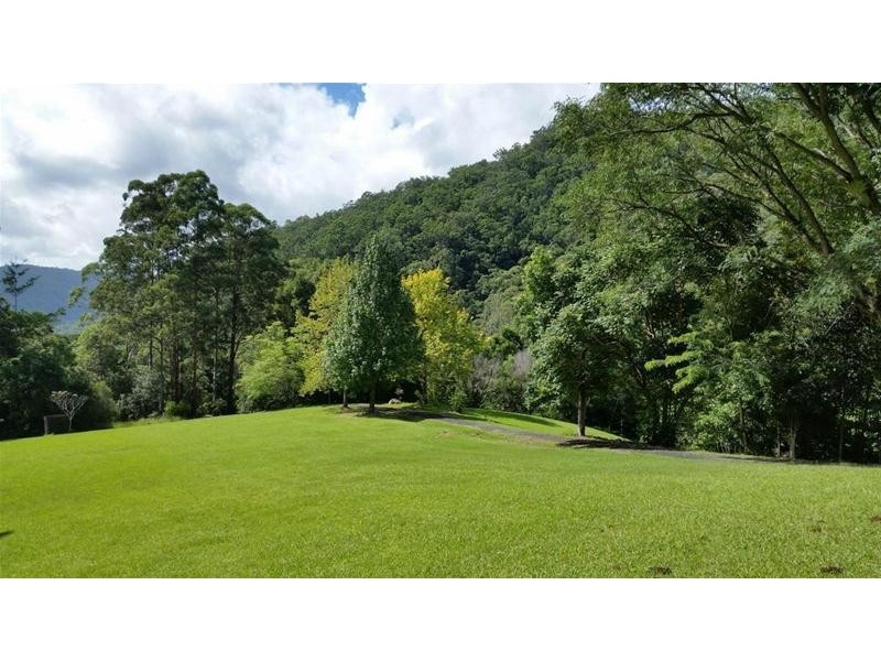 497 Mount Warning Road, Mount Warning NSW 2484