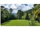 497 Mount Warning Road, Mount Warning NSW 2484