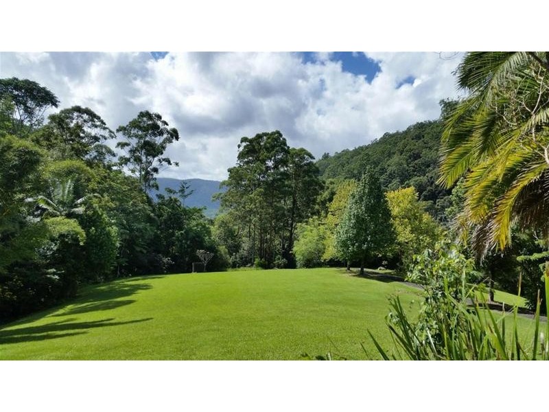 497 Mount Warning Road, Mount Warning NSW 2484