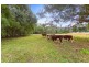 1799 Numinbah Road, Numinbah NSW 2484