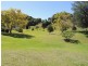 964 Numinbah Road, Crystal Creek NSW 2484