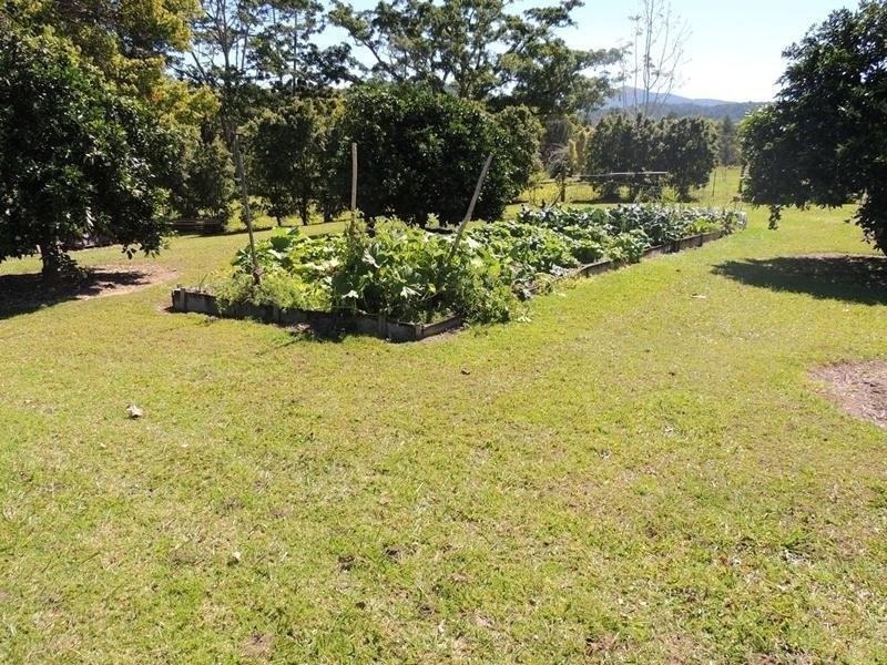 964 Numinbah Road, Crystal Creek NSW 2484