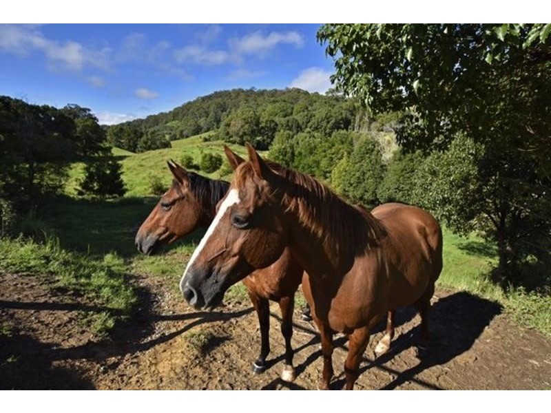 Stokers Siding NSW 2484