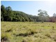 496 Rowlands Creek Road, Rowlands Creek NSW 2484