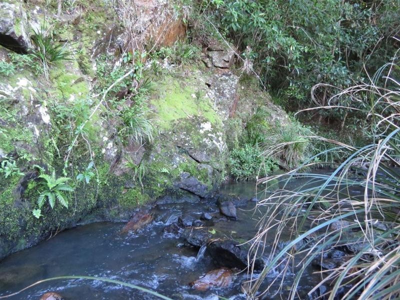 496 Rowlands Creek Road, Rowlands Creek NSW 2484