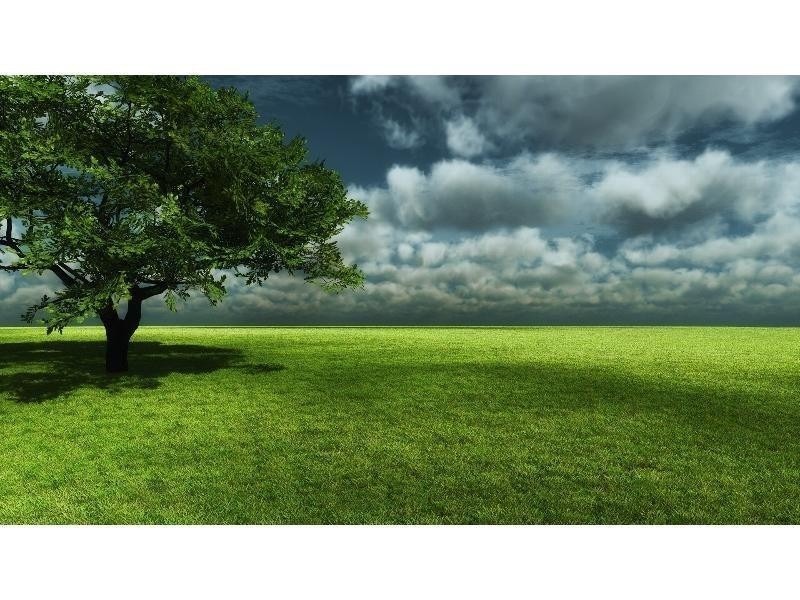 40 Golden Glow Road, Tara QLD 4421