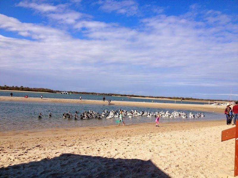 8/31 Middle Street, Labrador QLD 4215