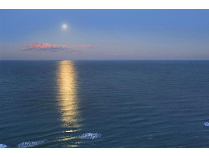 7102/9 Hamilton Avenue, Surfers Paradise QLD 4217