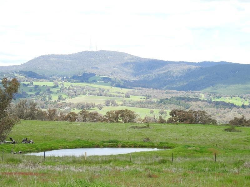 Bradley Road, Borenore NSW 2800