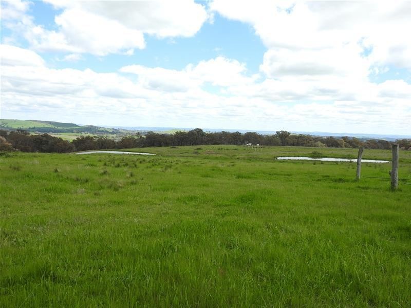 Bradley Road, Borenore NSW 2800