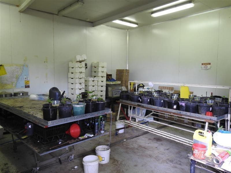 Bradley Road, Borenore NSW 2800